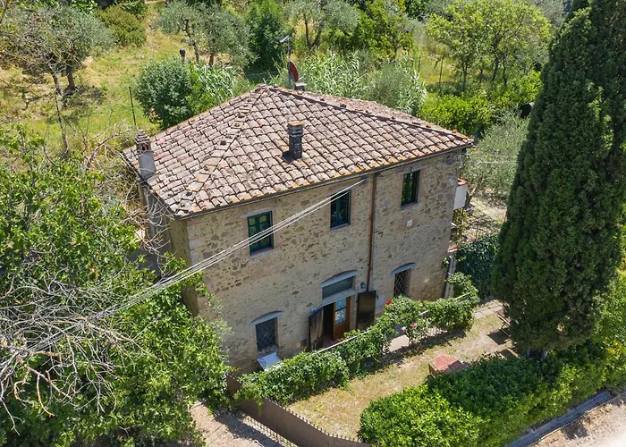 Podere Oliveta