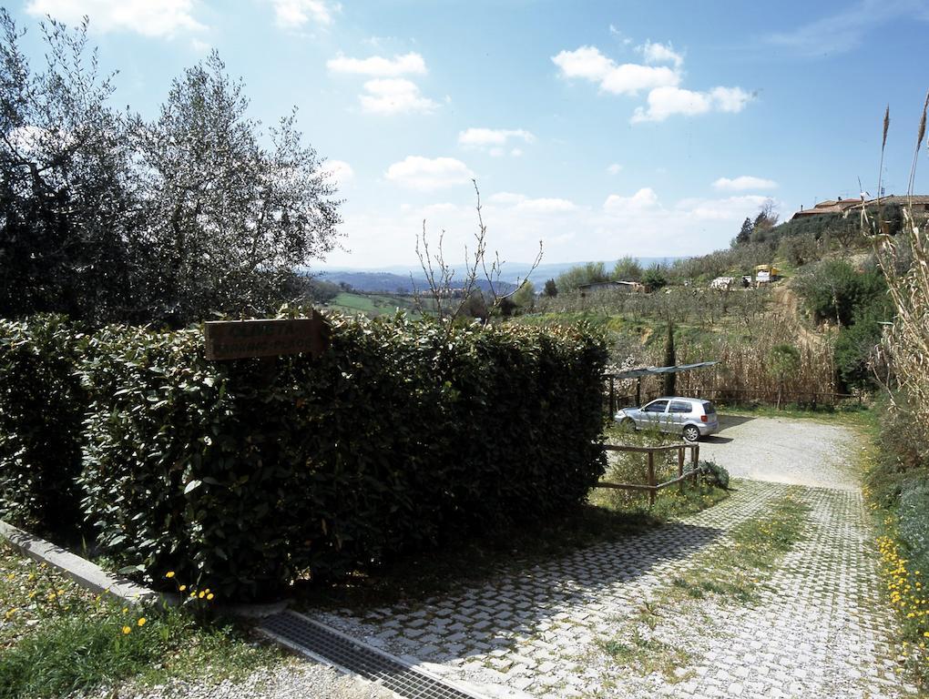Podere Oliveta
