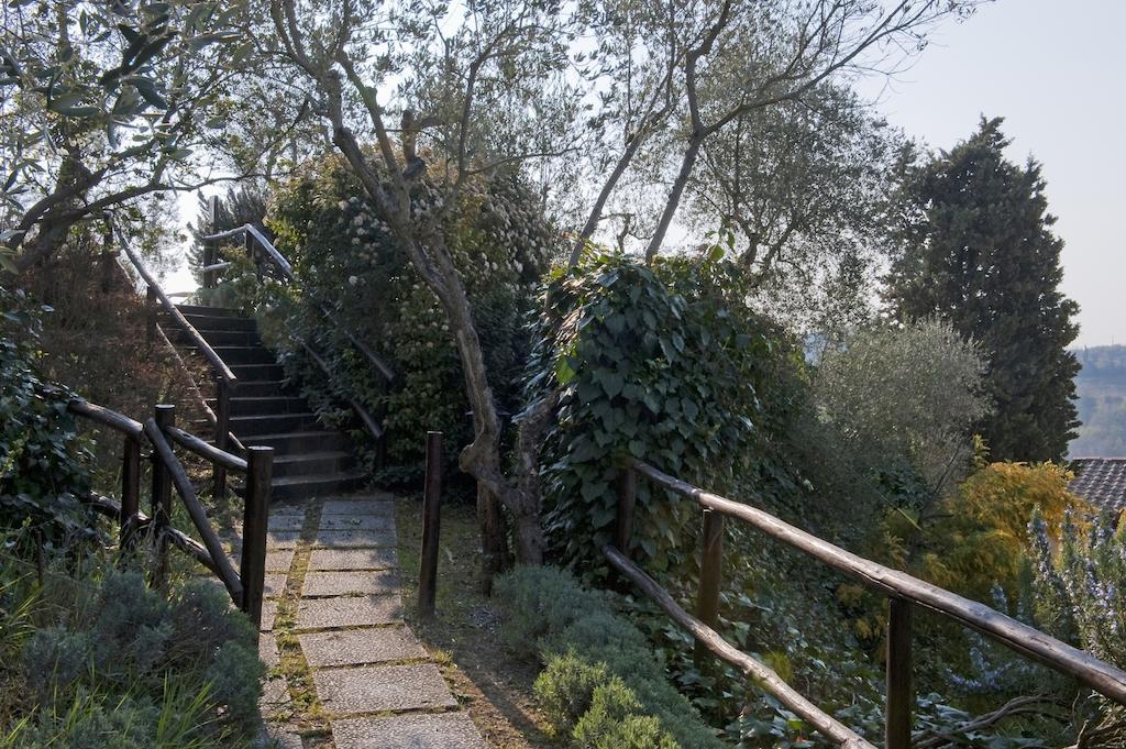 Podere Oliveta