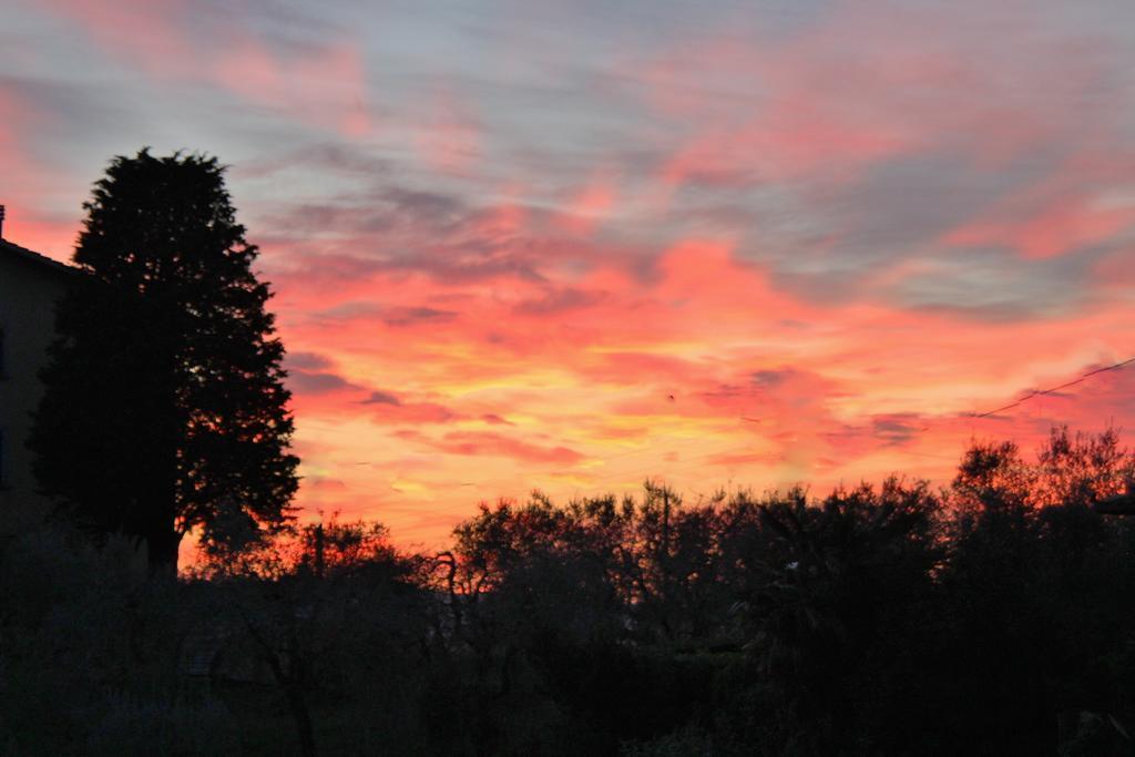 Country house Podere Oliveta