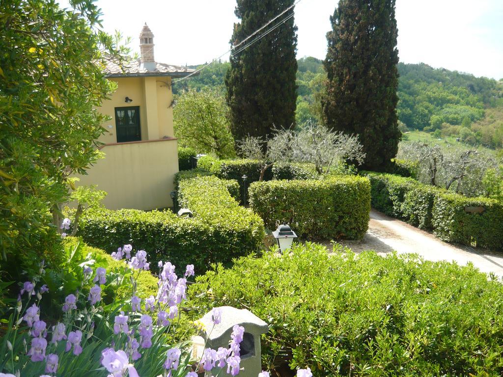 Podere Oliveta
